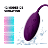 Vibromasseur a Distance Agrippine puissant