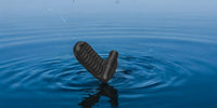 vibromasseur pour femme clytia waterproof