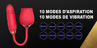aspirateur clito rosa gallica puissant