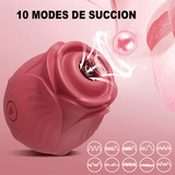 Aspirateur a Clitoris Rose puissant