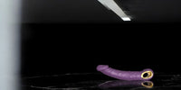 vibro masseur taouret haut de gamme