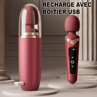 Wand Sextoy La Comtesse recharge usb