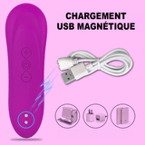 Aspirateur a Clitoris Amaryllis charge usb