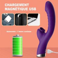 God Rabbit Bastet chargement usb magnétique