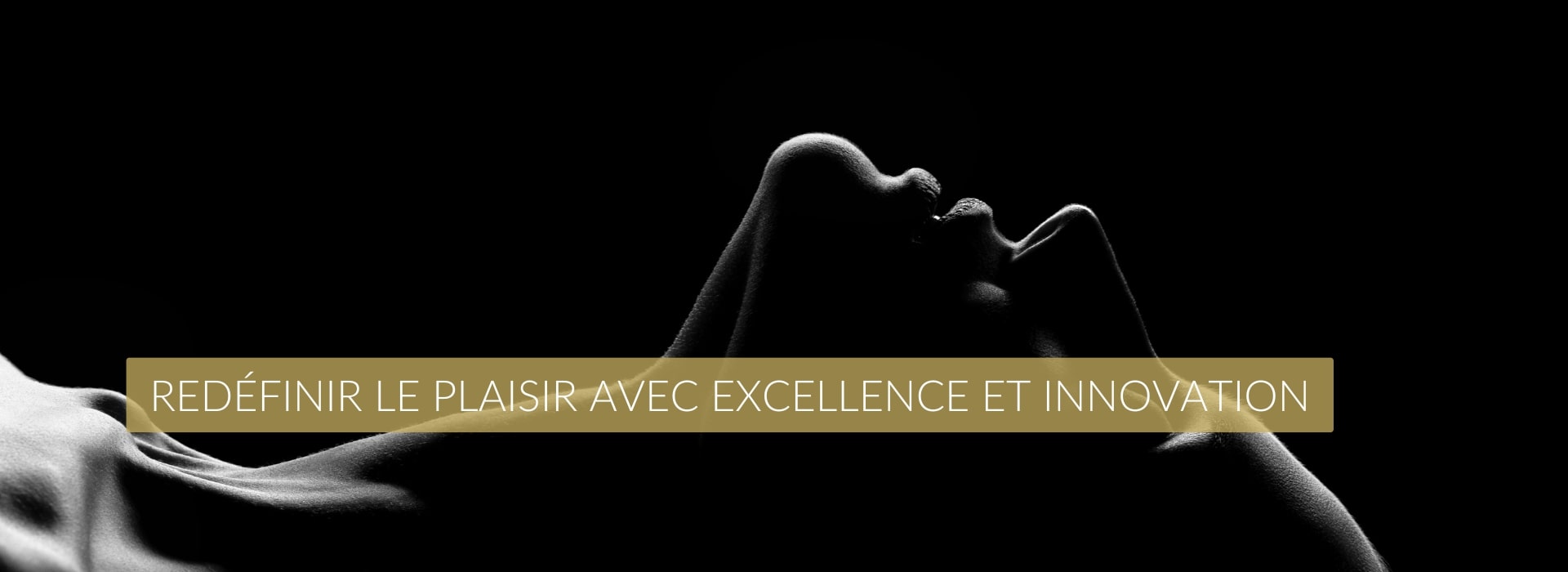 vibralys plaisir excellence et innovation