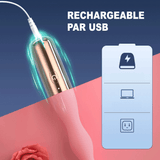 Gode Anal Vibrant Diane recharge usb