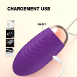 Oeuf Vibrant a Distance Faustina chargement USB