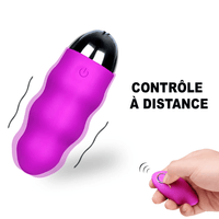 Oeuf Connecté Honoria controle à distance