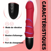 Gode Vibromasseur Junon caractéristiques