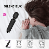 Wand Sextoy La Dauphine silencieux