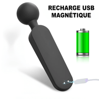 Wand Sextoy La Vicomtesse recharge usb