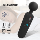 Wand Sextoy La Vicomtesse silencieux