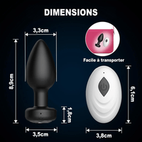 Anal Plug Vibrant Pandora dimensions