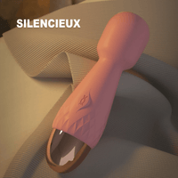 Wand Sextoy La Princesse silencieux