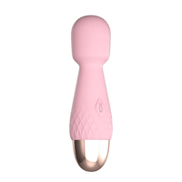 Wand Sextoy La Princesse rose