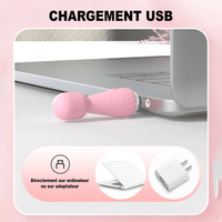 Wand Sextoy La Princesse chargement USB