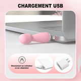 Wand Sextoy La Princesse chargement USB