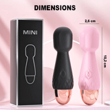 Wand Sextoy La Princesse dimensions