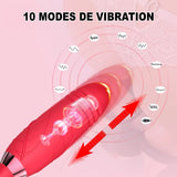 Aspirateur a Clitoris Rosa Gallica vibrations