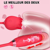 Aspirateur a Clitoris Rosa Gallica aspiration vibration