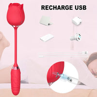 Aspirateur a Clitoris Rosa Gallica recharge usb